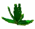 aloevera fruit in Grow a Garden Roblox game