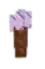 chocolatecarrot fruit in Grow a Garden Roblox game
