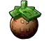 cocovine fruit in Grow a Garden Roblox game