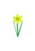daffodil fruit in Grow a Garden Roblox game