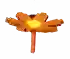 flaredaisy fruit in Grow a Garden Roblox game