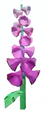 foxglove fruit in Grow a Garden Roblox game