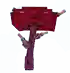 horneddinoshroom fruit in Grow a Garden Roblox game