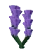 lavender fruit in Grow a Garden Roblox game