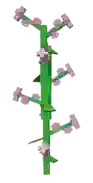 lilac fruit in Grow a Garden Roblox game