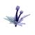 lotus fruit in Grow a Garden Roblox game