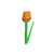 orangetulip fruit in Grow a Garden Roblox game
