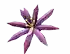 paradisepetal fruit in Grow a Garden Roblox game
