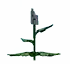 peacelily fruit in Grow a Garden Roblox game