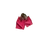 raspberry fruit in Grow a Garden Roblox game