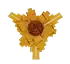 suncoil fruit in Grow a Garden Roblox game