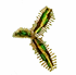 tacofern fruit in Grow a Garden Roblox game